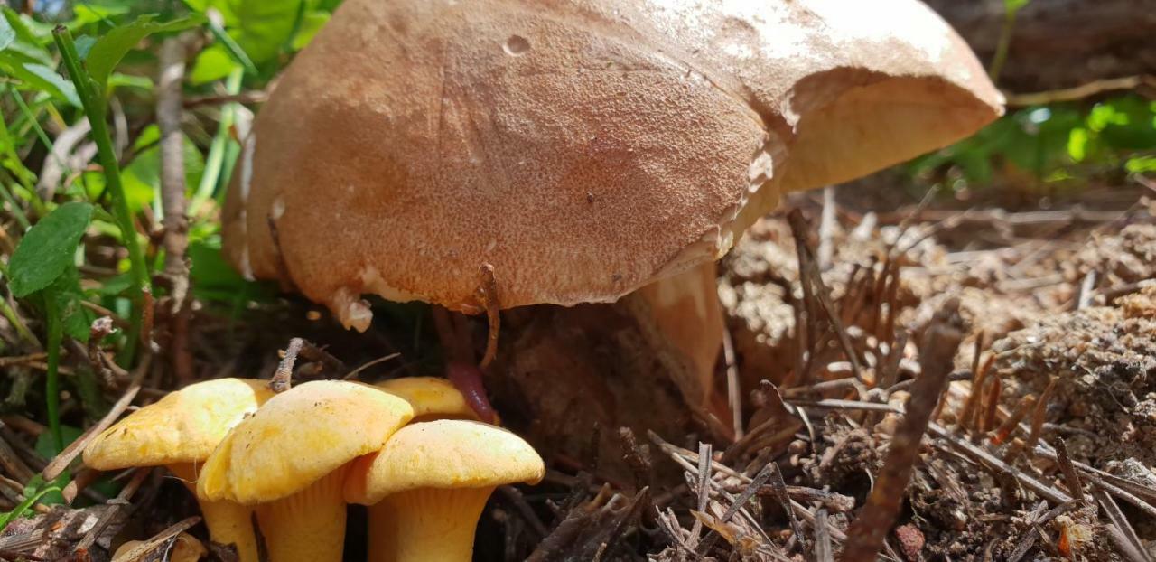 Appartamento Cal Tistu Matemale Esterno foto