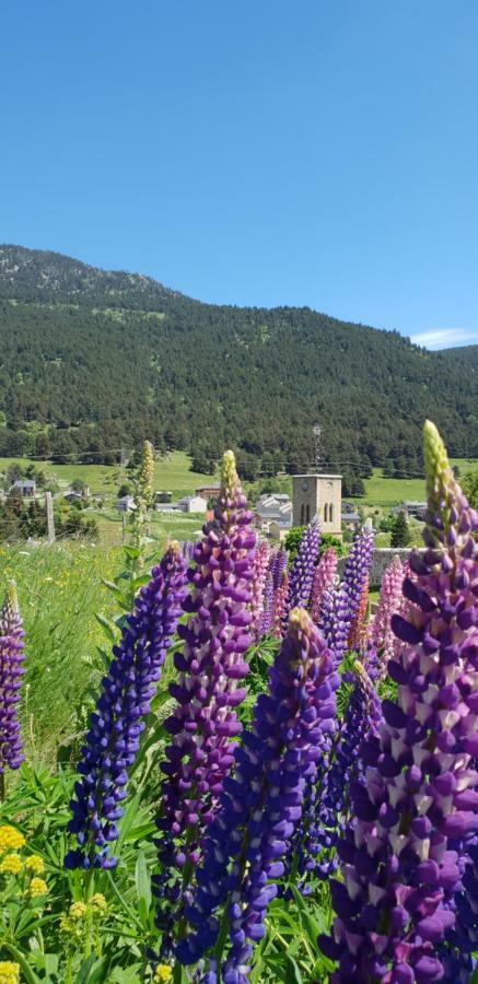 Appartamento Cal Tistu Matemale Esterno foto